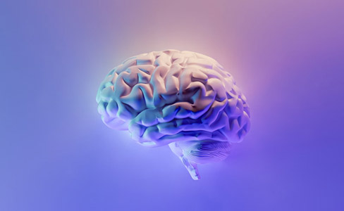 Alzheimer, enlaces de interés