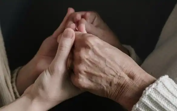 Equipo Multidisciplinar 1