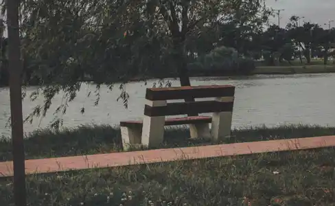 Alzheimer en la familia