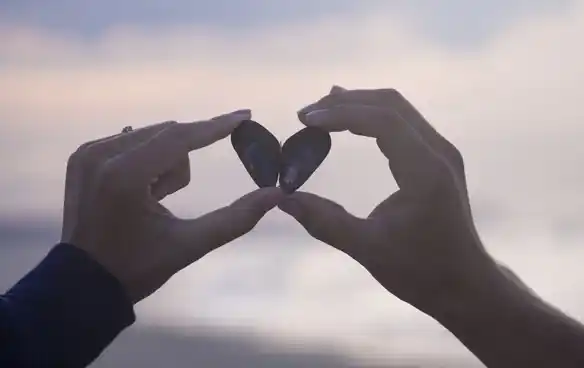 Misión, visión, valores. De donde venimos 2