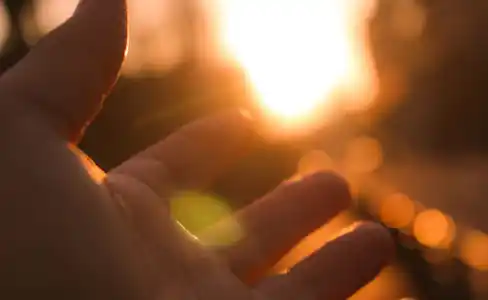 Los 10 nunca de la enfermedad de Alzheimer