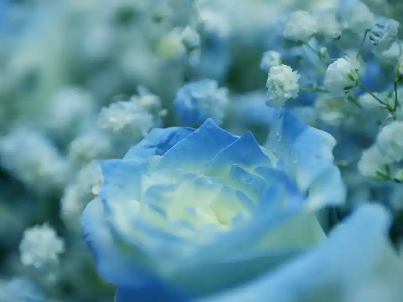 Grupo terapéutico en AFA Guardo